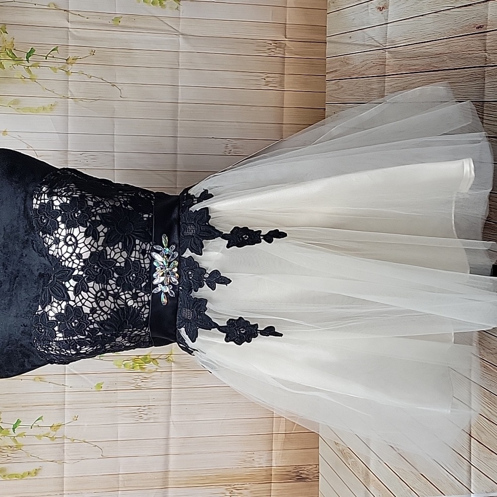 Elegant Black and White Lace Dress